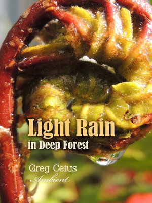 cover image of Light Rain in Deep Forest